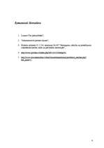 Referāts 'Administratīvais akts pašvaldībās', 9.