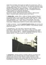 Referāts 'Tērvetes dabas parks', 4.