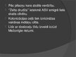 Prezentācija 'Amerikas Savienotās Valstis 19.gadsimta beigās 20.gadsimta sākumā', 18.