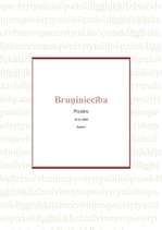 Referāts 'Bruņniecība', 1.