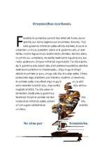 Referāts 'Bruņniecība', 3.