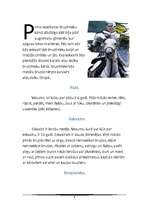 Referāts 'Bruņniecība', 4.