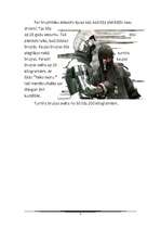 Referāts 'Bruņniecība', 5.