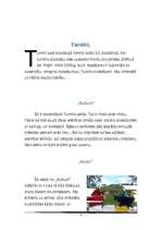 Referāts 'Bruņniecība', 8.