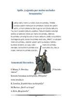 Referāts 'Bruņniecība', 13.