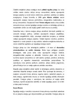 Eseja 'Ilgtspējīga enerģija un klimata pārmaiņas', 5.