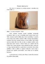 Paraugs 'Industrijas analīze', 5.