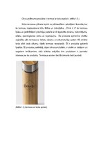 Paraugs 'Industrijas analīze', 7.