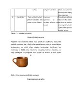 Paraugs 'Industrijas analīze', 13.