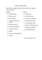 Paraugs 'Industrijas analīze', 16.