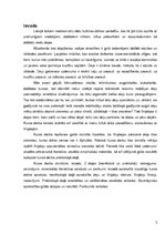 Referāts 'Līnijdeju popularitātes iemesli sievietes dzīvē', 3.