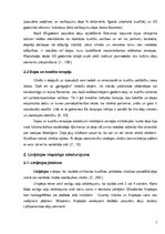 Referāts 'Līnijdeju popularitātes iemesli sievietes dzīvē', 5.