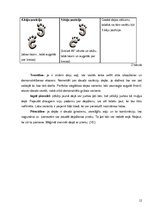 Referāts 'Līnijdeju popularitātes iemesli sievietes dzīvē', 12.