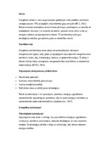 Eseja 'Enerģētikas transformācija: atjaunojamie energoresursi un to loma ilgtspējīgā nā', 1.