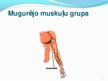Prezentācija 'Cilvēka augšējo ekstremitāšu muskuļi', 6.