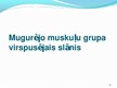 Prezentācija 'Cilvēka augšējo ekstremitāšu muskuļi', 26.