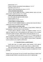 Biznesa plāns 'Kafejnīcas "Lagūna" investīciju projekts', 13.