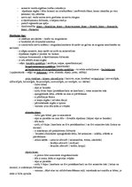 Konspekts 'Dzīvnieku valsts', 4.