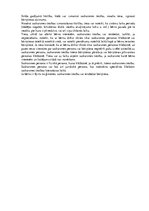 Konspekts 'Civiltiesības', 19.