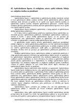 Konspekts 'Civiltiesības', 101.