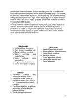 Biznesa plāns 'Teleraidījuma biznesa plāns', 11.