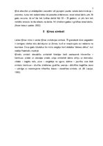 Referāts 'Ķīna', 7.