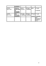 Referāts 'Eiro kodeksa standarta ieviešana Latvijā', 18.