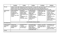 Konspekts 'Tematiskais plāns gadam pirmsskolas jaukta vecuma grupai', 6.