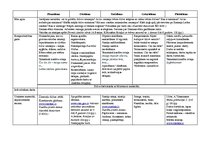 Konspekts 'Tematiskais plāns gadam pirmsskolas jaukta vecuma grupai', 49.