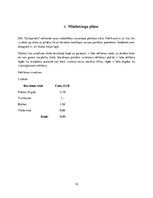 Biznesa plāns 'Biznesa plāns ģitārspēles nodarbībām "Ģitārprieks"', 10.