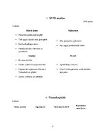 Biznesa plāns 'Biznesa plāns ģitārspēles nodarbībām "Ģitārprieks"', 11.