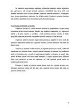 Referāts 'Uzņēmuma "A" un uzņēmuma "B" darbības analīze', 6.