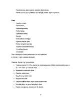 Prakses atskaite 'Viesnīca "Europa City"', 8.