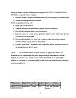 Prakses atskaite 'Viesnīca "Europa City"', 10.