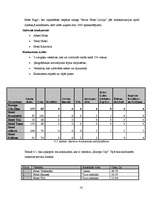 Prakses atskaite 'Viesnīca "Europa City"', 14.