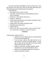 Prakses atskaite 'Viesnīca "Europa City"', 19.