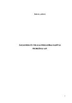 Referāts 'Šaujamieroču vieglās pieejamības radītās problēmas ASV', 1.