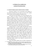 Referāts 'Šaujamieroču vieglās pieejamības radītās problēmas ASV', 13.