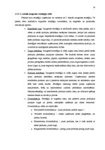 Diplomdarbs 'Aviokompānijas "Air France - KLM" konkurētspējas analīze starptautiskajā tirgū u', 29.