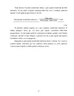 Diplomdarbs 'Uzņēmuma AS "Grindex" finanšu analīze', 32.