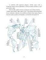 Diplomdarbs 'Uzņēmuma AS "Grindex" finanšu analīze', 35.