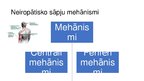 Prezentācija 'Pacientu aprūpe ar neiropātiskām sāpēm', 6.
