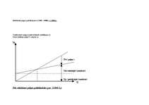 Konspekts 'Lineārās programmēšanas izmantošana plānošanā', 7.