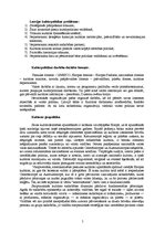 Referāts 'Kultūrpolitika Latvijā Eiropas un pasaules kontekstā', 5.