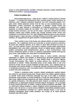 Referāts 'Kultūrpolitika Latvijā Eiropas un pasaules kontekstā', 6.