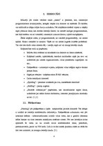 Referāts 'Pārkāpēji. Hakeri', 4.