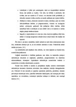 Referāts 'Pārkāpēji. Hakeri', 14.