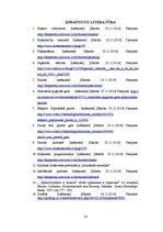 Referāts 'Pārkāpēji. Hakeri', 16.