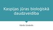 Prezentācija 'Kaspijas jūras bioloģiskā daudzveidība', 1.