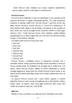 Referāts 'Norēķinu kartes', 14.